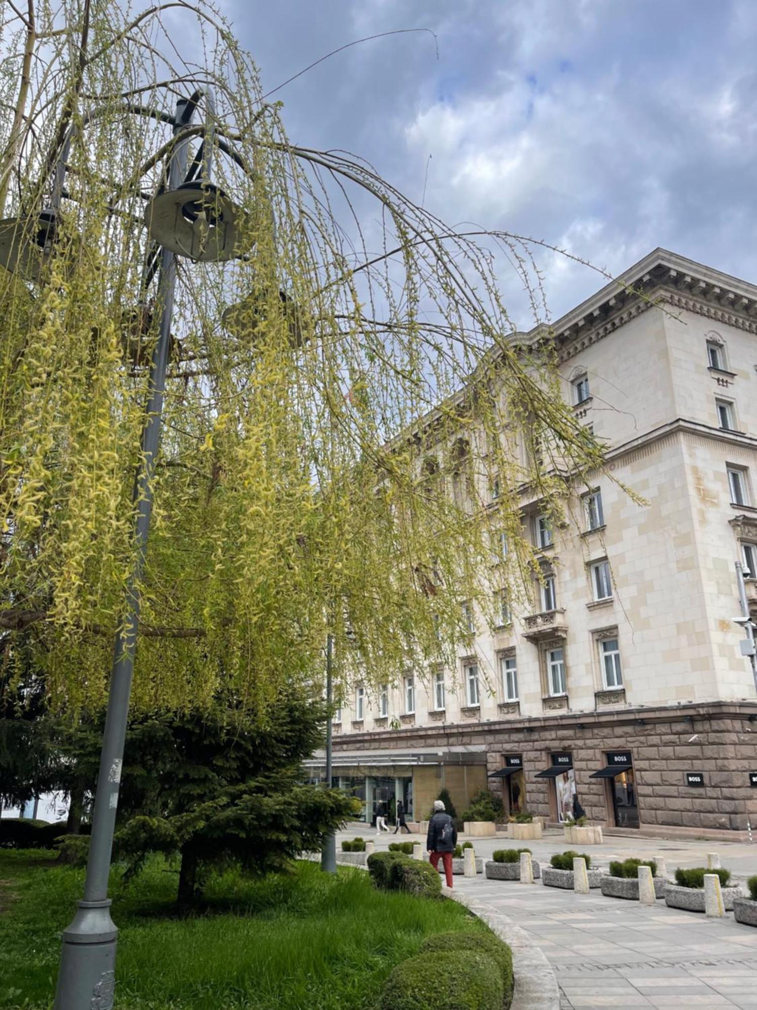 Отель Sofia Balkan Palace Экстерьер фото